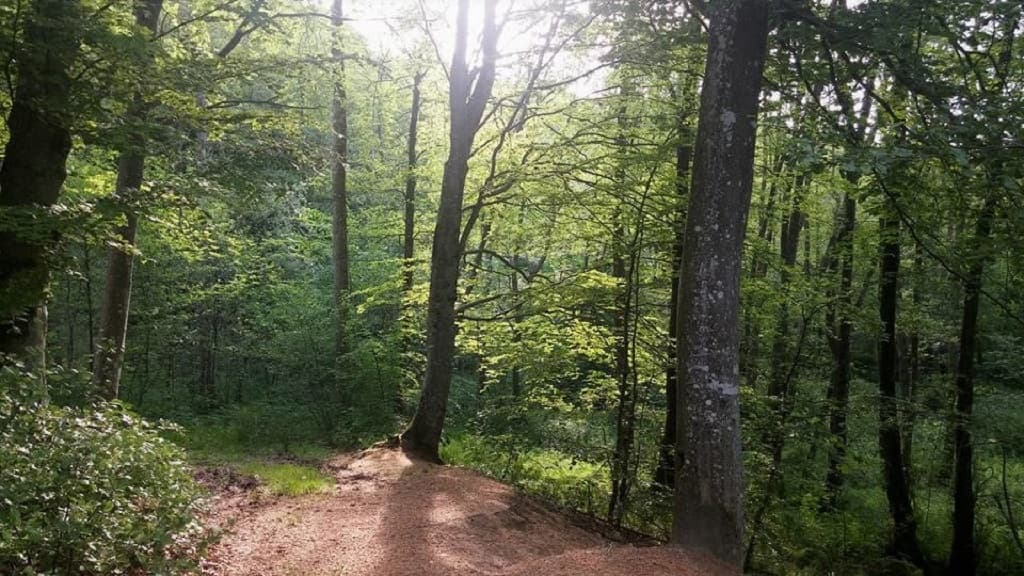 Die Naturschutzgebiete: Grevsmosen, Slettingen, Fejborg Bakke and Bollebakken