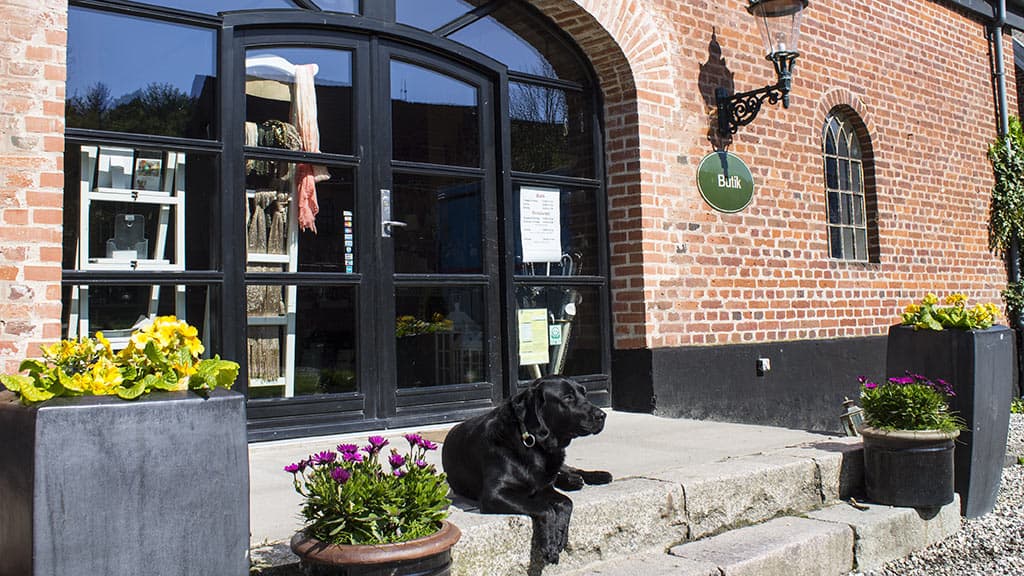 Eingangsbereich des Ladens mit Hund, der sich davor sonnt
