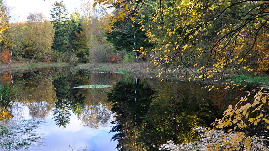 Hvass Sø (See)