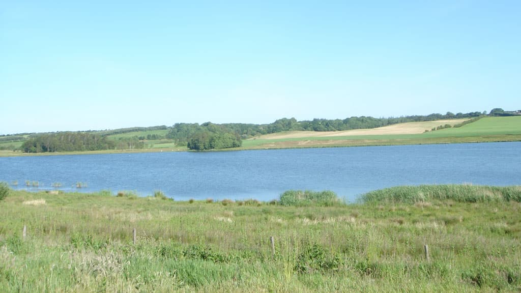 Rødding Sø (See)