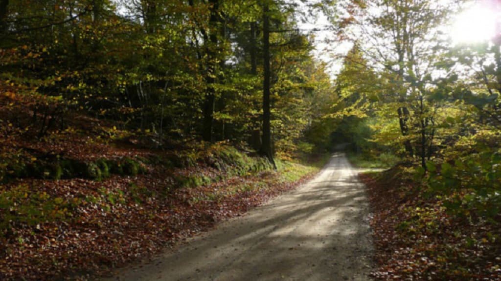 Die Naturschutzgebiete: Grevsmosen, Slettingen, Fejborg Bakke and Bollebakken
